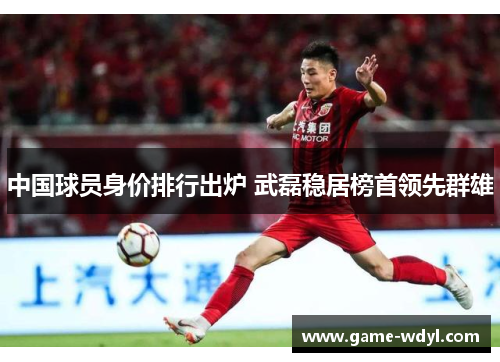 中国球员身价排行出炉 武磊稳居榜首领先群雄