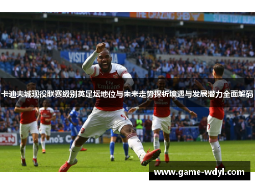 卡迪夫城现役联赛级别英足坛地位与未来走势探析境遇与发展潜力全面解码 卡迪夫城现役联赛级别英足坛地位与未来走势探析境遇与发展潜力全面解码